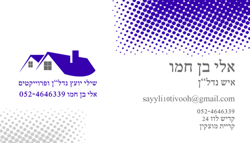 שילי יעוץ נדל"ן ופרוייקטים
