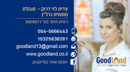 עידית לוי דרוק