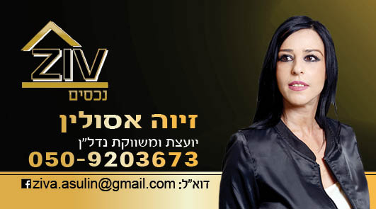 זיו נכסים