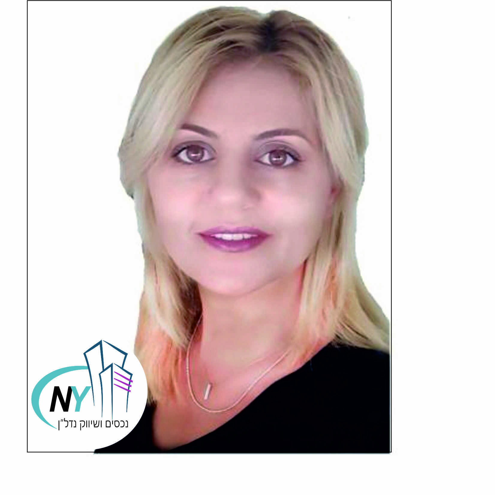 NY נכסים ושיווק נדל"ן