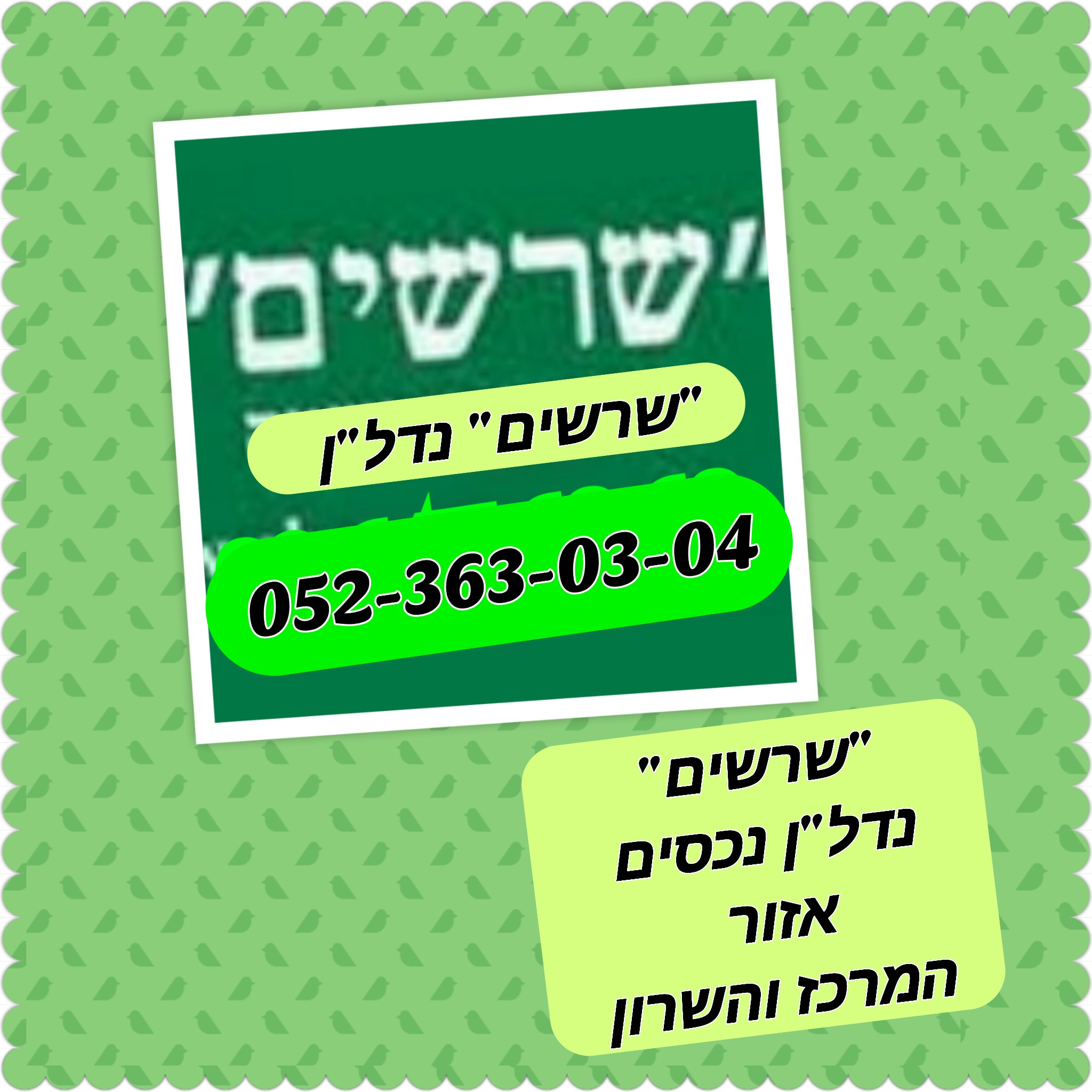 שרשים- נדל"ן